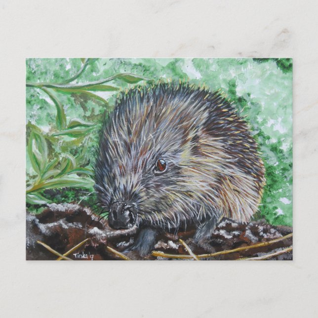 Ansichtkaart Egel. Postcard (Front)