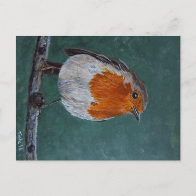 Ansichtkaart Roodborst. Briefkaart Postcard (Front)