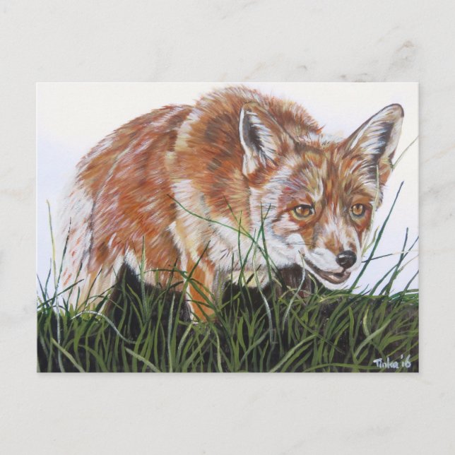 Ansichtkaart Vos. Postcard (Front)