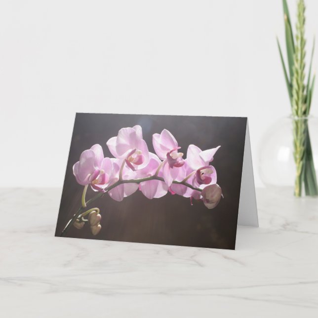 Answer To Prayer Card (Front)