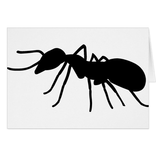 Ant (Front Horizontal)