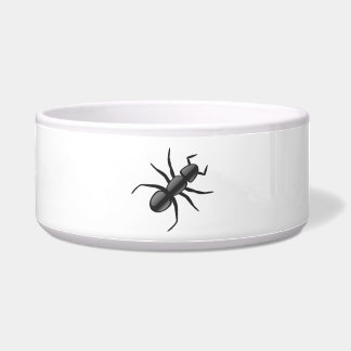 Ant