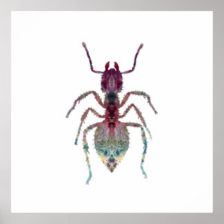 Ant Art Poster