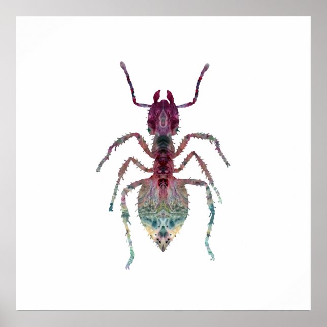 Ant Art Poster (Front)