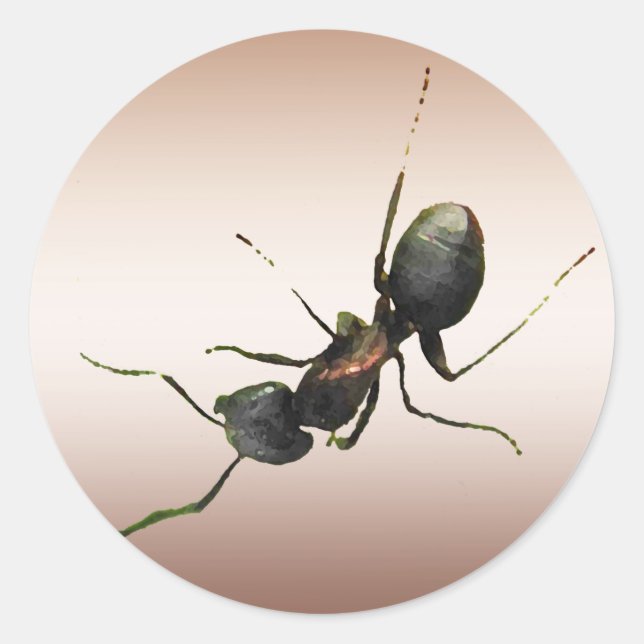 Ant Classic Round Sticker (Front)