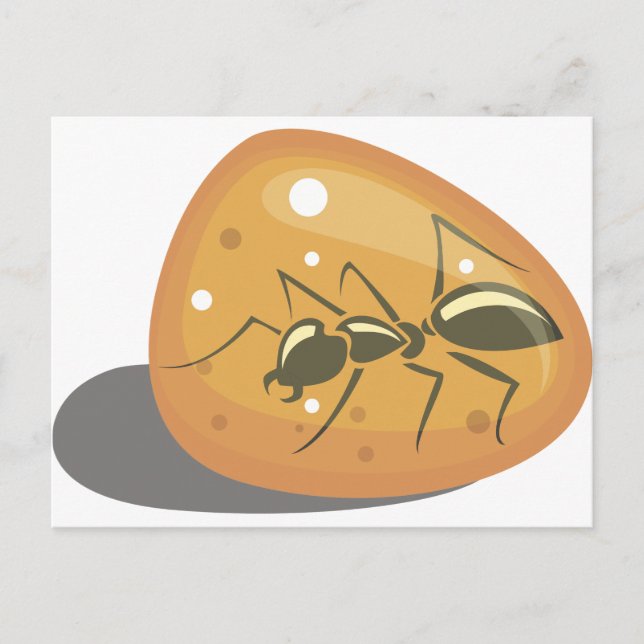 Ant in Amber Postcard (Front)