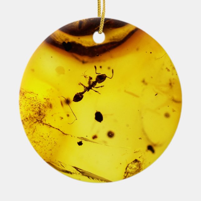 Ant inside amber ceramic ornament (Front)