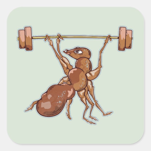 Ant lifting weights square sticker (Front)