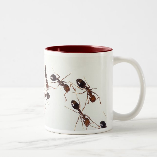 ant mug (Right)