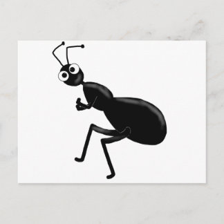 ant postcard