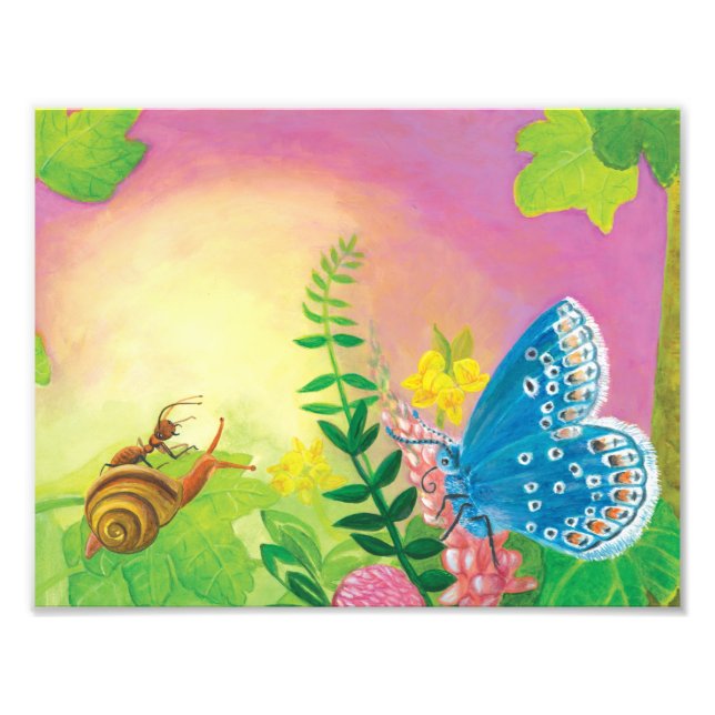 Ant, snail and Chapman's blue butterfly   Photo Print (Front)