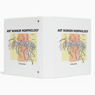Ant Worker Morphology Binder