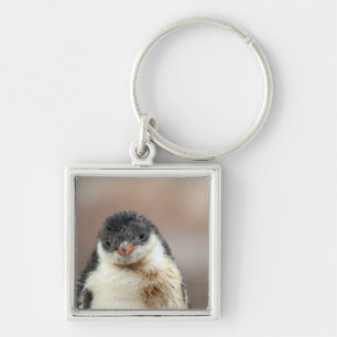 Antarctic Keychain