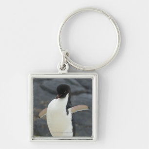 Antarctic Keychain
