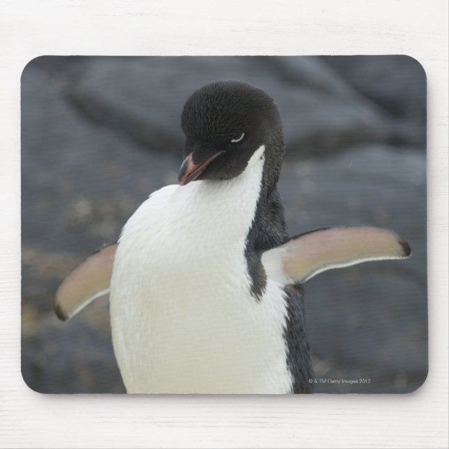 Antarctic Mouse Pad (Front)