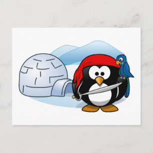 Antarctic Pitate Penguin Postcard