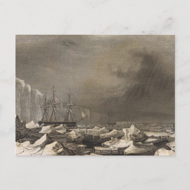 Antarctica 3 postcard (Front)