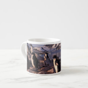 Antarctica, Adelie penguin chicks Espresso Cup