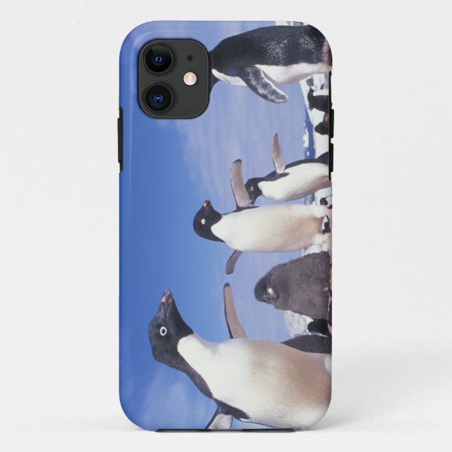 Antarctica, Adelie Penguin Pygoscelis Case-Mate iPhone Case (Back)
