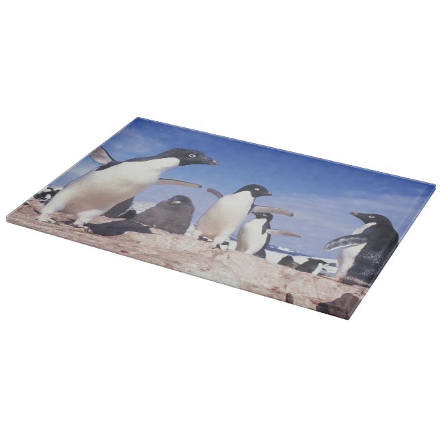 Antarctica, Adelie Penguin Pygoscelis Cutting Board (Corner)