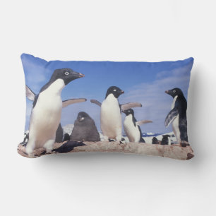 Antarctica, Adelie Penguin Pygoscelis Lumbar Pillow