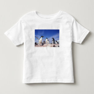 Antarctica, Adelie Penguin Pygoscelis Toddler T-shirt