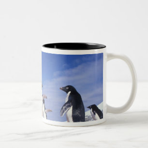 Antarctica, Adelie Penguin Pygoscelis Two-Tone Coffee Mug