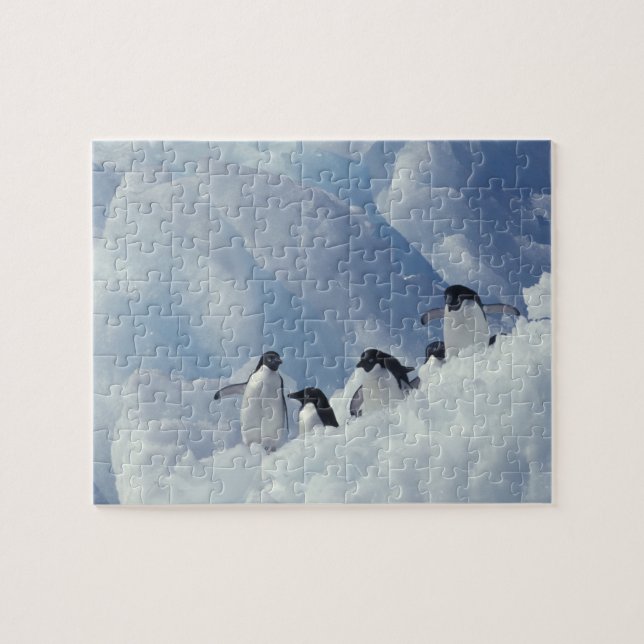 Antarctica. Adelie penguins Jigsaw Puzzle (Horizontal)