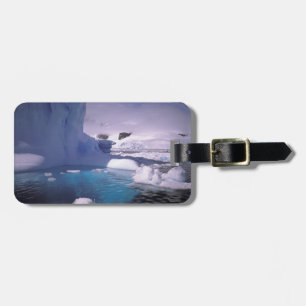 Antarctica. Antarctic icescapes 2 Luggage Tag