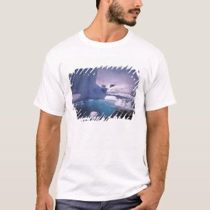 Antarctica. Antarctic icescapes 2 T-Shirt