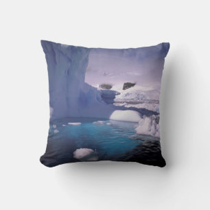 Antarctica. Antarctic icescapes 2 Throw Pillow