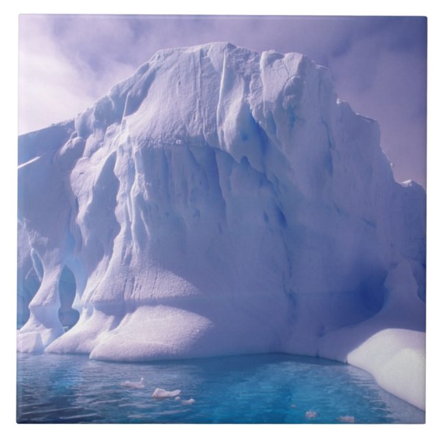 Antarctica. Antarctic icescapes Tile (Front)