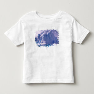 Antarctica. Antarctic icescapes Toddler T-shirt