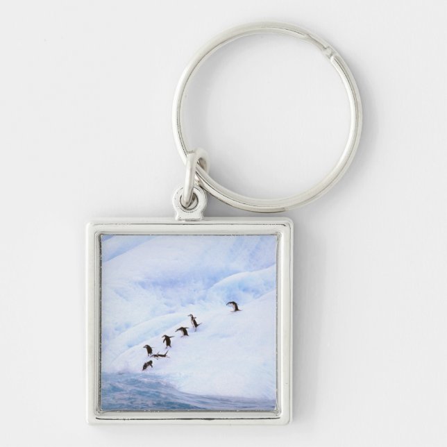 Antarctica, Antarctic Peninsula. Chinstrap Keychain (Front)