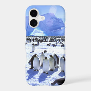 Antarctica, Antarctic Peninsula, Weddell Sea 5