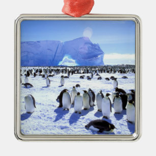 Antarctica, Antarctic Peninsula, Weddell Sea, 5 Metal Ornament