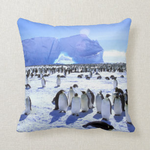 Antarctica, Antarctic Peninsula, Weddell Sea 5 Throw Pillow