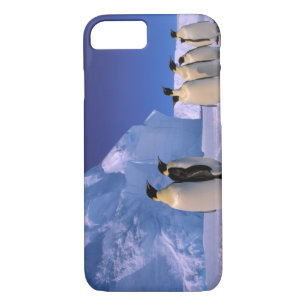 Antarctica, Australian Antarctic Territory, 7 Case-Mate iPhone Case
