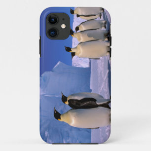 Antarctica, Australian Antarctic Territory, 7 iPhone 11 Case