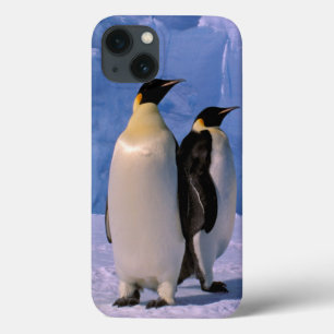 Antarctica, Australian Antarctic Territory, 7 iPhone 13 Case