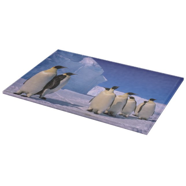 Antarctica, Australian Antarctic Territory, 7 Cutting Board (Corner)