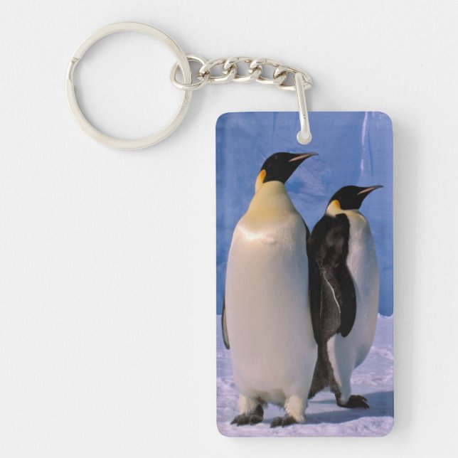 Antarctica, Australian Antarctic Territory, 7 Keychain (Front)