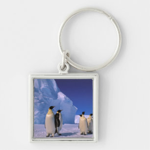 Antarctica, Australian Antarctic Territory, 7 Keychain