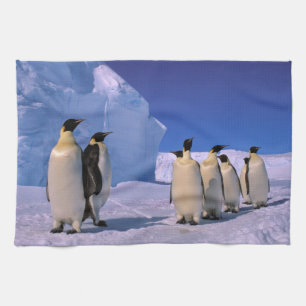 Antarctica, Australian Antarctic Territory, 7 Kitchen Towel