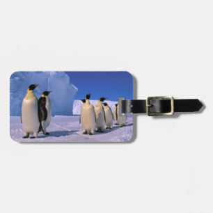 Antarctica, Australian Antarctic Territory, 7 Luggage Tag