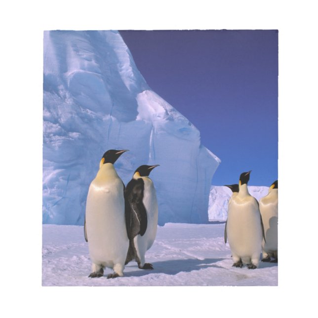 Antarctica, Australian Antarctic Territory, 7 Notepad (Front)