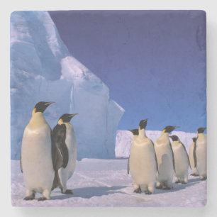Antarctica, Australian Antarctic Territory, 7 Stone Coaster