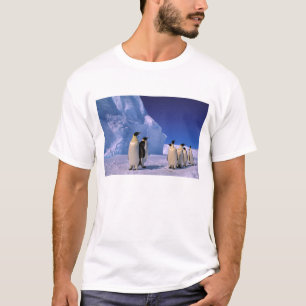 Antarctica, Australian Antarctic Territory, 7 T-Shirt