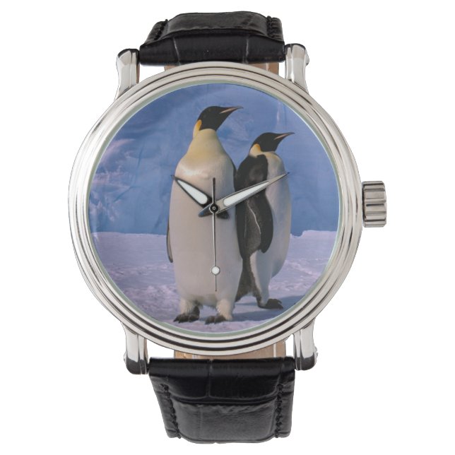 Antarctica, Australian Antarctic Territory, 7 Watch (Front)