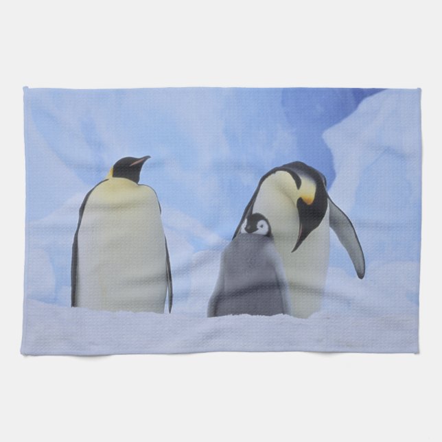 Antarctica. Emperor penguins and chick Kitchen Towel (Horizontal)